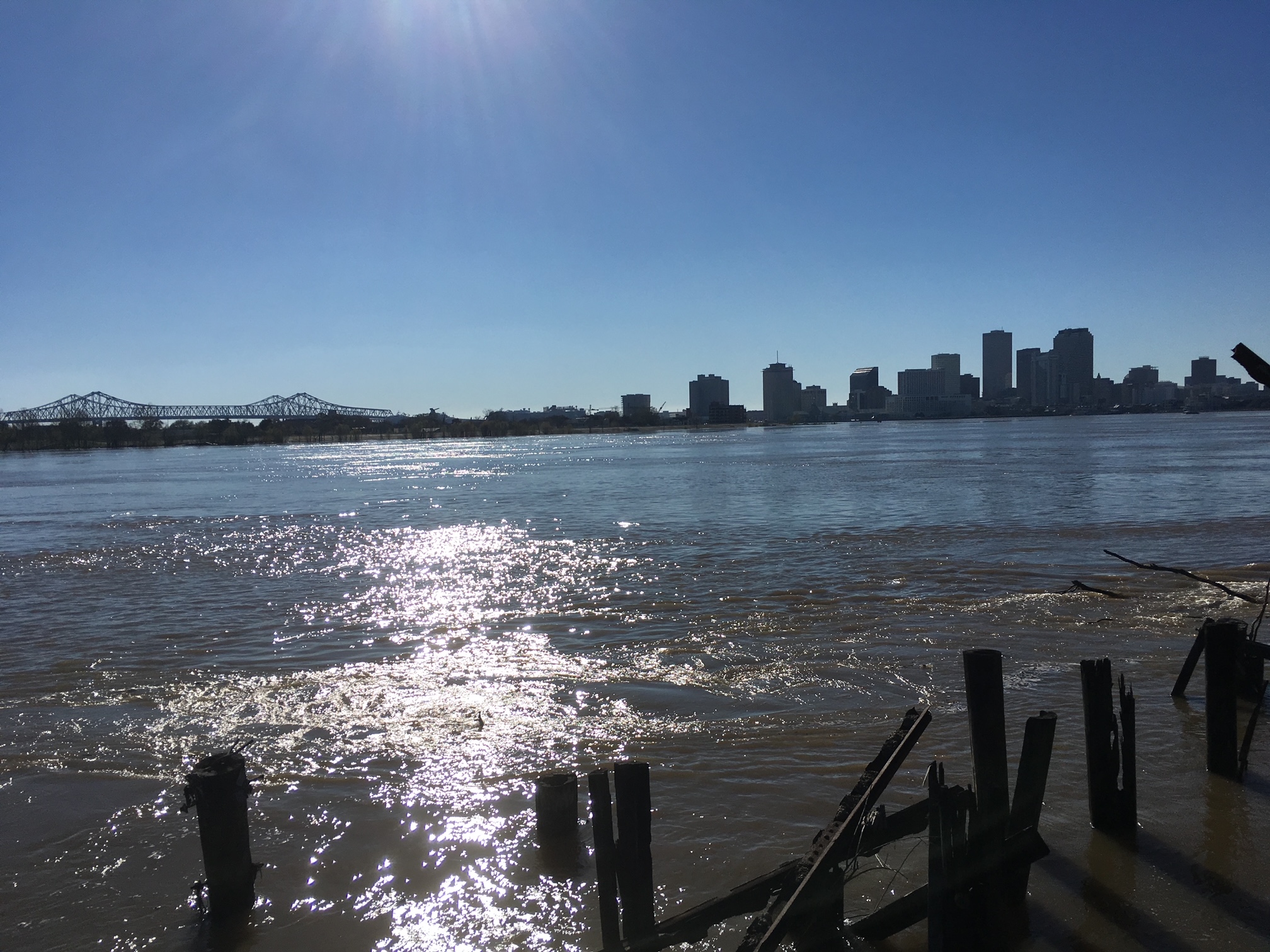 New Orleans from the Mississippi River